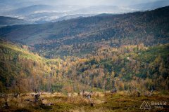 img_1018