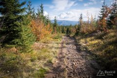 img_1019