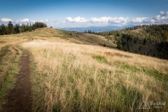 img_1022