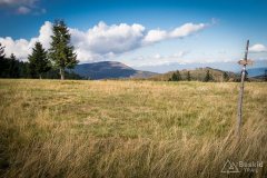 img_1023