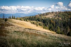 img_1025