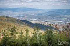 img_1026