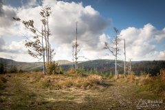 img_1029