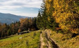 img_1069