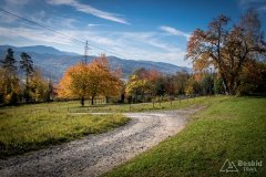 img_1036