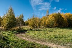img_1038