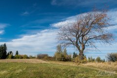 img_1041