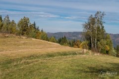 img_1043