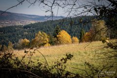 img_1044