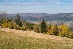 img_1045