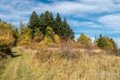 img_1048