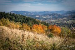 img_1049