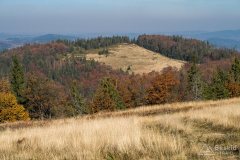 img_1060