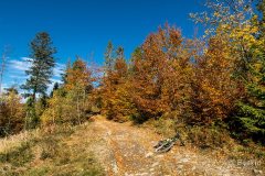 img_1062