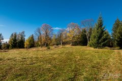 img_1064