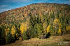 img_1065
