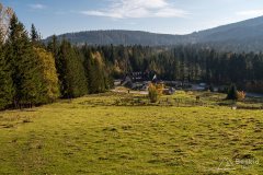 img_1072