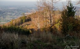 IMG_1156