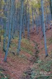 IMG_1095