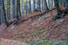 IMG_1097