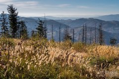 IMG_1105