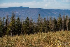 IMG_1106