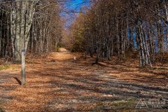 IMG_1108