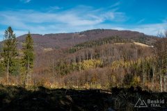 IMG_1109