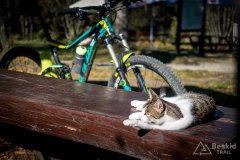 IMG_1113