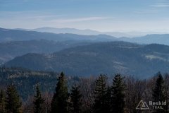 IMG_1116