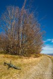 IMG_1117