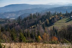 IMG_1118
