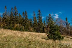 IMG_1119