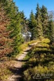 IMG_1121