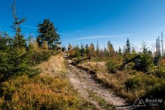 IMG_1122