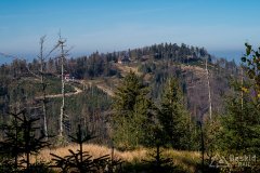 IMG_1123