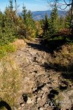 IMG_1125