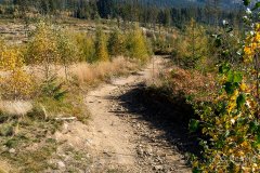 IMG_1126