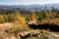 IMG_1127