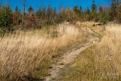 IMG_1128