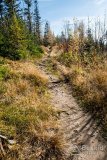 IMG_1129