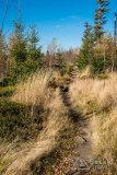 IMG_1130
