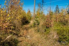 IMG_1132