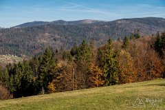 IMG_1136