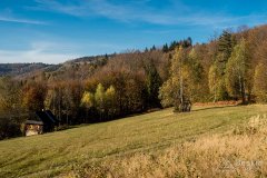 IMG_1139