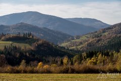 IMG_1140