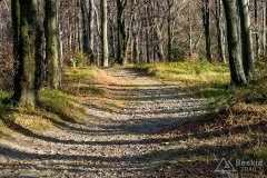 IMG_1151