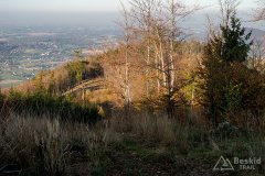 IMG_1156