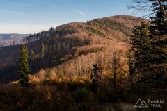 IMG_1160
