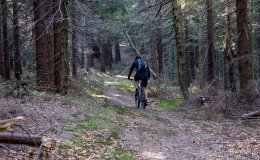 IMG_1167